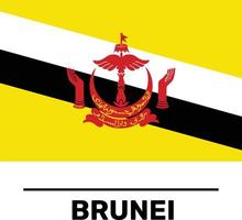 drapeau brunei fichier vectoriel entièrement modifiable et évolutif