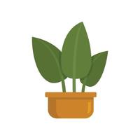 icône de plante d'intérieur de feuilles tropicales, style plat vecteur