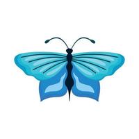 beauté papillon bleu insecte vecteur