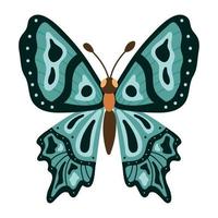 silhouette d'animal papillon bleu vecteur