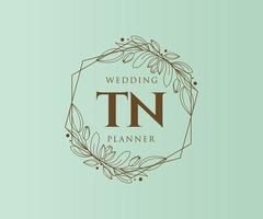 tn initiales lettre mariage monogramme logos collection, modèles minimalistes et floraux modernes dessinés à la main pour cartes d'invitation, réservez la date, identité élégante pour restaurant, boutique, café en image vectorielle vecteur