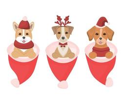 trois chiots sont assis dans des coffrets cadeaux. carte de Noël. animaux mignons pour félicitations dans les chapeaux rouges. vecteur