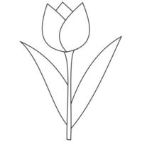 coloriage de tulipe. il peut être utilisé dans les livres de coloriage pour enfants ainsi qu'un support pour introduire la forme des tulipes en utilisant la méthode de coloration vecteur