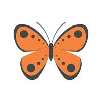 icône de papillon tropical, style plat. vecteur