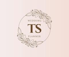 ts initiales lettre collection de logos de monogramme de mariage, modèles minimalistes et floraux modernes dessinés à la main pour cartes d'invitation, réservez la date, identité élégante pour restaurant, boutique, café en image vectorielle vecteur