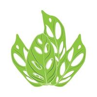 logo de feuille de monstera adansonii, vecteur de plante verte, vecteur d'arbre, illustration de feuille rare