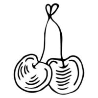 cerises. dessin de contour de deux fruits de cerise douce isolé sur fond blanc. couple de cerise avec illustration dessinée de croquis de feuille. vecteur