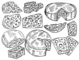 ensemble de croquis de fromage. vecteur doodle collection de morceaux et de tranches de fromage