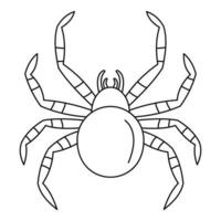 icône d'araignée tarente, style de contour vecteur