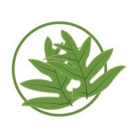 feuille logo plante verte conception feuilles d'arbres produit marque modèle illustration vecteur