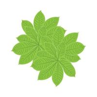 feuille logo plante verte conception feuilles d'arbres produit marque modèle illustration vecteur