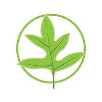 feuille logo plante verte conception feuilles d'arbres produit marque modèle illustration vecteur