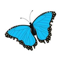 papillon coloré unique isolé sur fond blanc. insecte tropical exotique avec des ailes et des antennes brillantes. vecteur