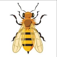 icône d'abeille d'insectes, style cartoon vecteur