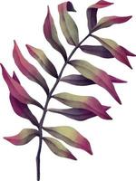 branches de feuilles d'aquarelle. illustration aquarelle dessinée à la main vecteur