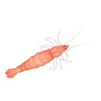 icône de crevettes de fruits de mer, style cartoon vecteur