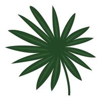 icône de palmier ventilateur, style cartoon vecteur