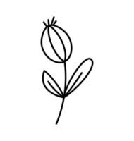 fleur stylisée de vecteur de printemps avec des lignes monolines. élément d'art d'illustration scandinave. image florale décorative d'été pour la carte ou l'affiche de salutation de valentine, bannière de vacances