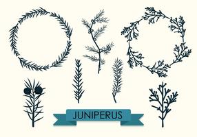 Branches Collection Vector