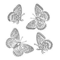 illustration de papillon d'art en ligne, dessin vectoriel