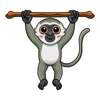 mignon petit dessin animé de singe vervet suspendu à un arbre vecteur