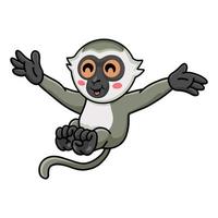 mignon petit dessin animé de singe vervet posant vecteur