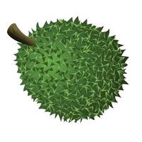 icône de durian entier, style cartoon vecteur