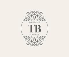 tb initiales lettre mariage monogramme logos collection, modèles minimalistes et floraux modernes dessinés à la main pour cartes d'invitation, réservez la date, identité élégante pour restaurant, boutique, café en image vectorielle vecteur