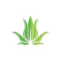 illustration d'images de logo à base de plantes cosmétiques à l'aloe vera vecteur