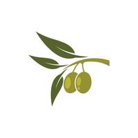 illustration d'images logo olive vecteur