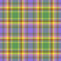 vérifier la texture textile. modèle sans couture de fond. plaid tartan de vecteur de tissu.