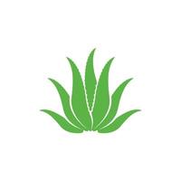 illustration d'images de logo à base de plantes cosmétiques à l'aloe vera vecteur