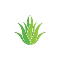 illustration d'images de logo à base de plantes cosmétiques à l'aloe vera vecteur