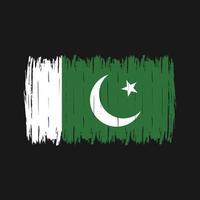 brosse drapeau pakistan vecteur