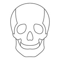 icône de crâne, style de contour vecteur