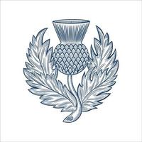 illustration vectorielle de conception d'insigne d'emblème de chardon écossais militaire, dans un style dessiné à la main vecteur