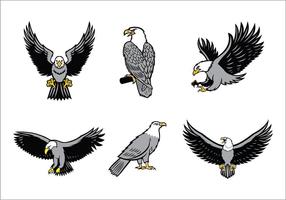 Ensemble de vecteur Eagles Mascot