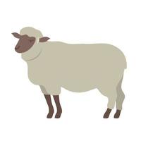 icône d'illustration vectorielle animal mouton blanc vecteur