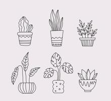 ensemble de plantes d'intérieur en pot de fleurs. dessin de contour de plante d'intérieur en pot. illustration vectorielle isolée sur fond blanc vecteur