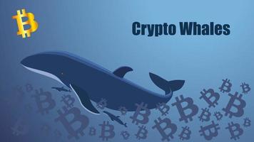 écran de concept avec crypto baleine flottant dans la mer de bitcoins. icône bitcoin doré. modèle pour site Web ou illustration de nouvelles. fond bleu. vecteur eps 10.