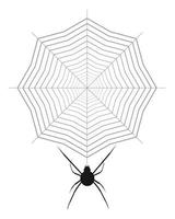 Araignée rampant sur le web sur un fond blanc vecteur