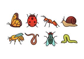 Pack Vector insectes