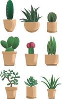 ensemble de différentes plantes succulentes dans un style plat moderne, isolé sur fond blanc vecteur