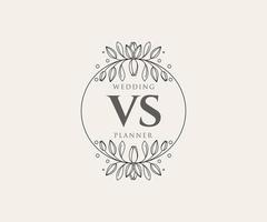 vs initiales lettre collection de logos de monogramme de mariage, modèles minimalistes et floraux modernes dessinés à la main pour cartes d'invitation, réservez la date, identité élégante pour restaurant, boutique, café en image vectorielle vecteur