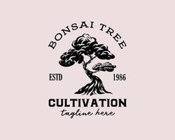 modèle de conception de logo de culture de bonsaï vecteur