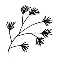 clipart de branche d'épinette dessiné à la main. brindille de doodle de conifères. élément de design de noël et d'hiver vecteur