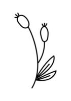 vecteur de printemps stylisé branche dessinée à la main avec des baies et des feuilles. icône vectorielle de contour dans un style scandinave. élément d'art d'illustration. image décorative pour carte de voeux ou affiche