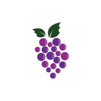 conception d'illustration d'icône de vecteur de raisin