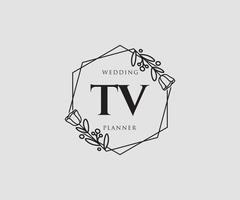 logo féminin tv initial. utilisable pour les logos nature, salon, spa, cosmétique et beauté. élément de modèle de conception de logo vectoriel plat.