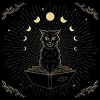 chat noir magique et mystique dessiné à la main vecteur